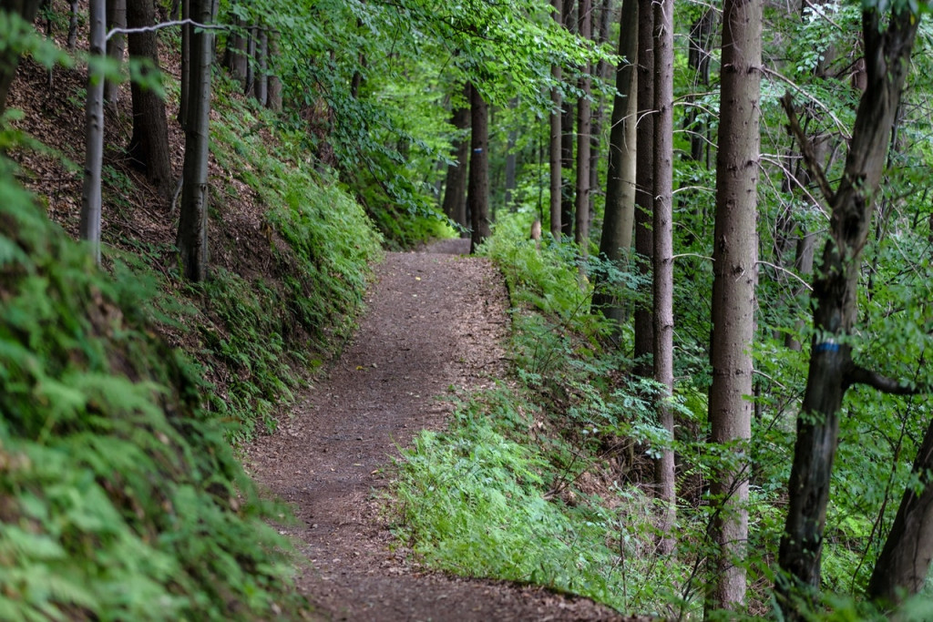 Hiking trail